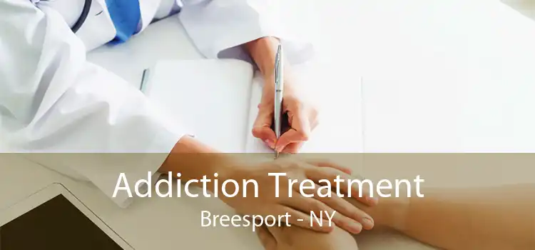 Addiction Treatment Breesport - NY