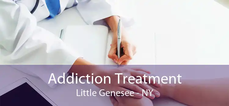 Addiction Treatment Little Genesee - NY