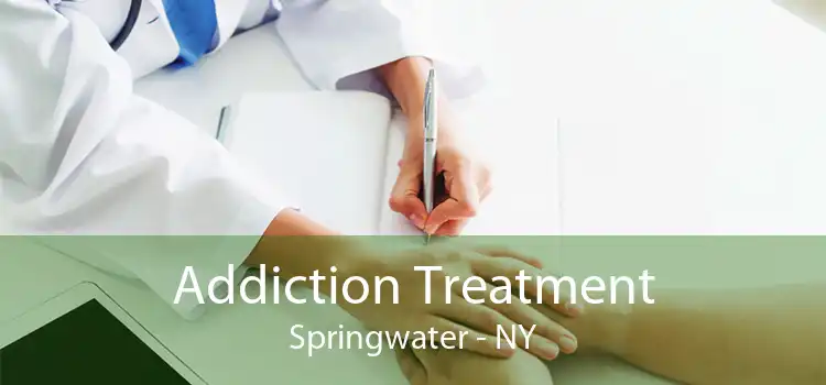 Addiction Treatment Springwater - NY