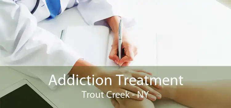 Addiction Treatment Trout Creek - NY