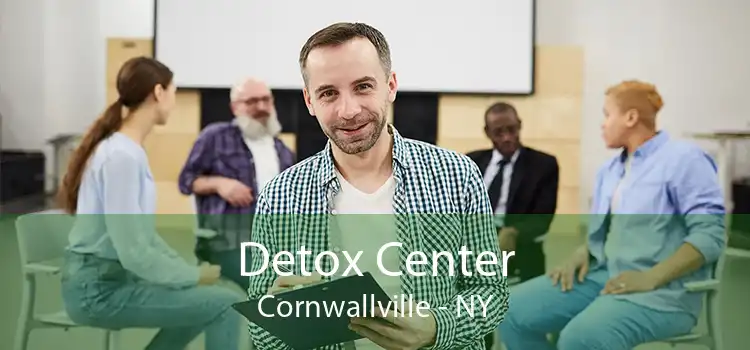 Detox Center Cornwallville - NY