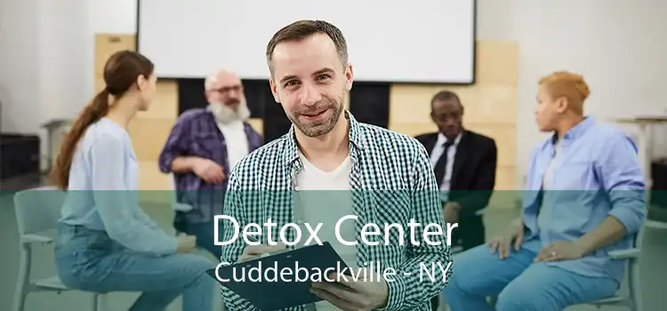 Detox Center Cuddebackville - NY