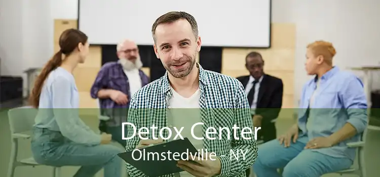 Detox Center Olmstedville - NY