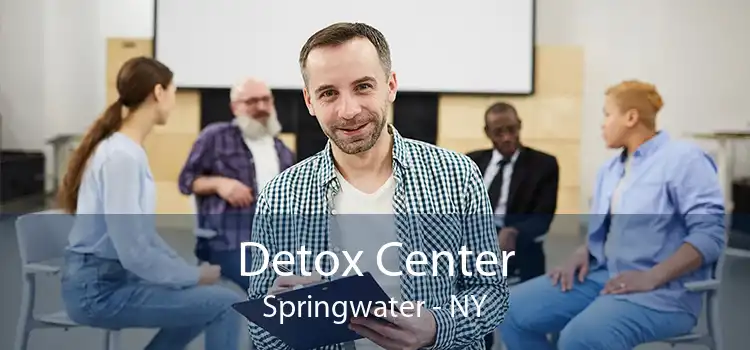 Detox Center Springwater - NY