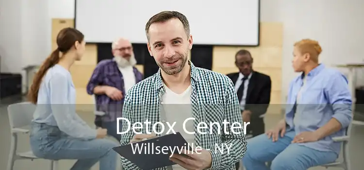 Detox Center Willseyville - NY