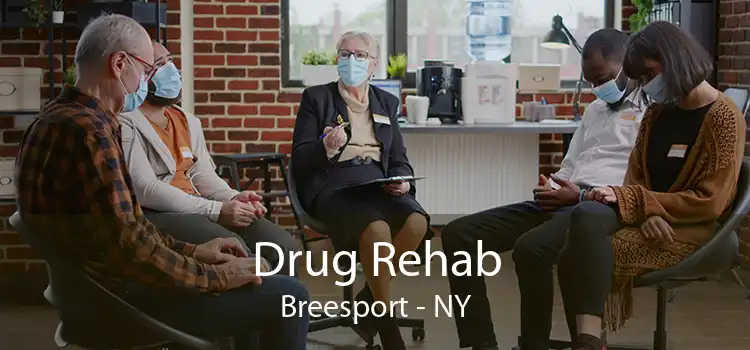Drug Rehab Breesport - NY