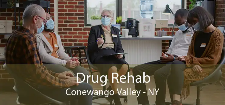 Drug Rehab Conewango Valley - NY