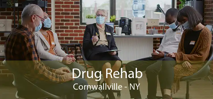 Drug Rehab Cornwallville - NY