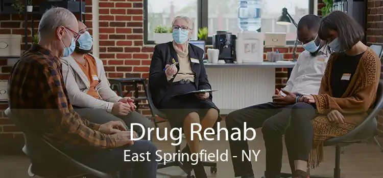 Drug Rehab East Springfield - NY