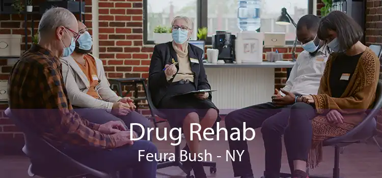 Drug Rehab Feura Bush - NY