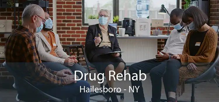 Drug Rehab Hailesboro - NY