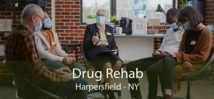 Drug Rehab Harpersfield - NY