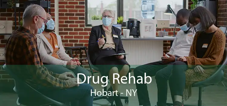 Drug Rehab Hobart - NY