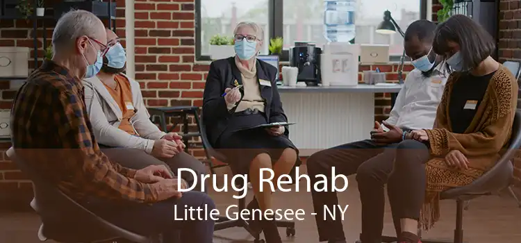 Drug Rehab Little Genesee - NY