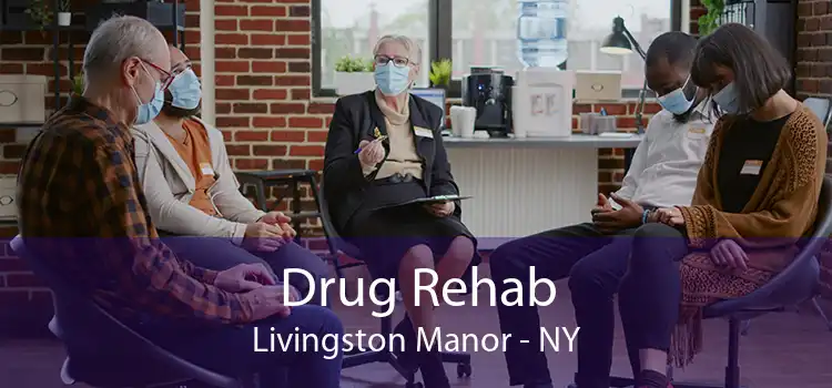 Drug Rehab Livingston Manor - NY