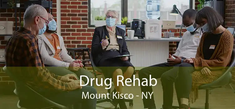 Drug Rehab Mount Kisco - NY