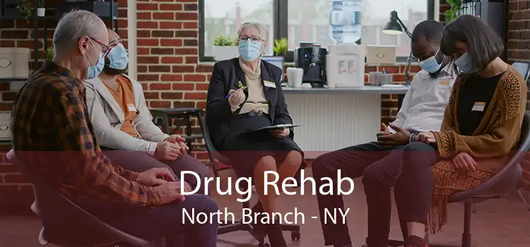 Drug Rehab North Branch - NY
