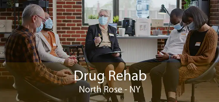 Drug Rehab North Rose - NY