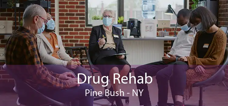 Drug Rehab Pine Bush - NY