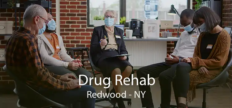 Drug Rehab Redwood - NY