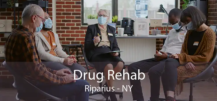 Drug Rehab Riparius - NY