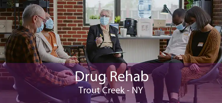 Drug Rehab Trout Creek - NY