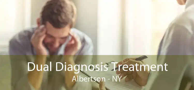 Dual Diagnosis Treatment Albertson - NY
