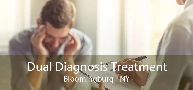 Dual Diagnosis Treatment Bloomingburg - NY