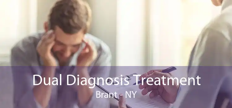 Dual Diagnosis Treatment Brant - NY