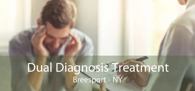 Dual Diagnosis Treatment Breesport - NY