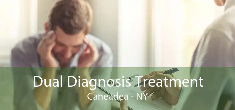Dual Diagnosis Treatment Caneadea - NY