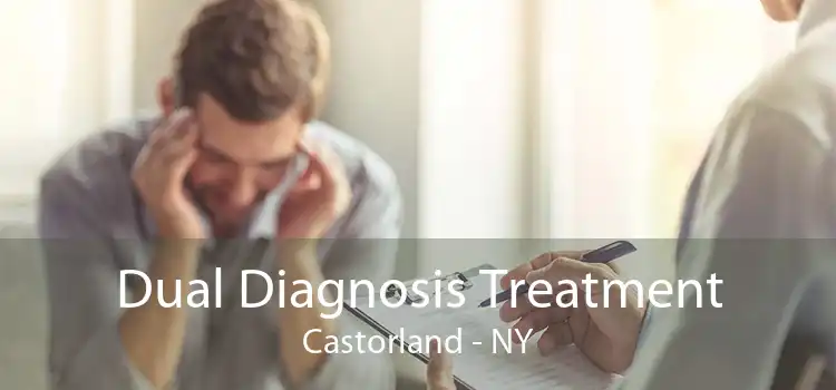 Dual Diagnosis Treatment Castorland - NY
