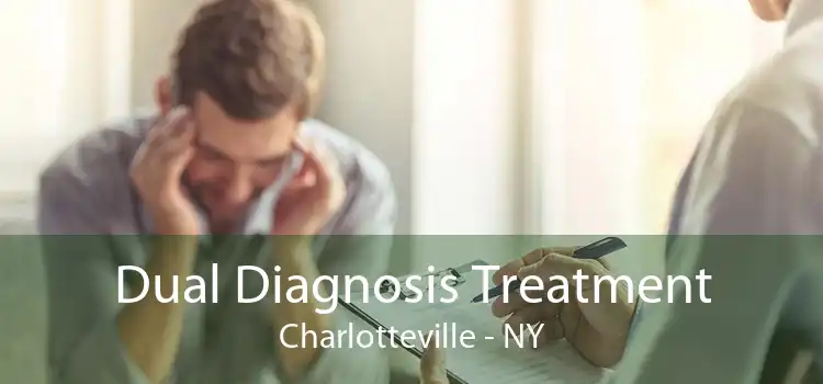 Dual Diagnosis Treatment Charlotteville - NY