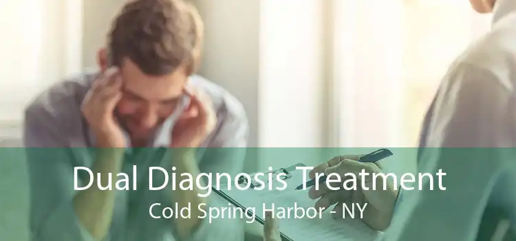 Dual Diagnosis Treatment Cold Spring Harbor - NY