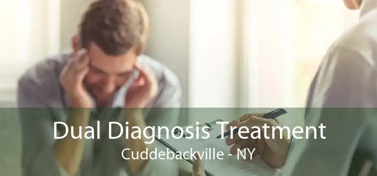 Dual Diagnosis Treatment Cuddebackville - NY