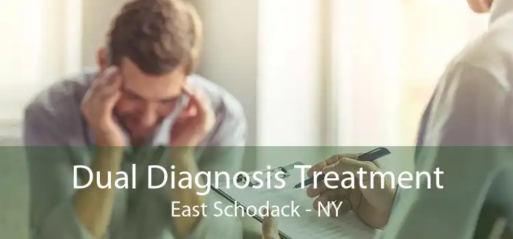 Dual Diagnosis Treatment East Schodack - NY