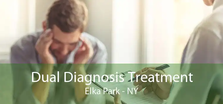 Dual Diagnosis Treatment Elka Park - NY
