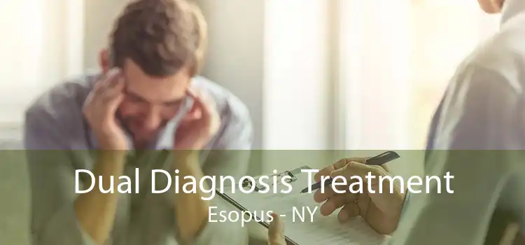 Dual Diagnosis Treatment Esopus - NY