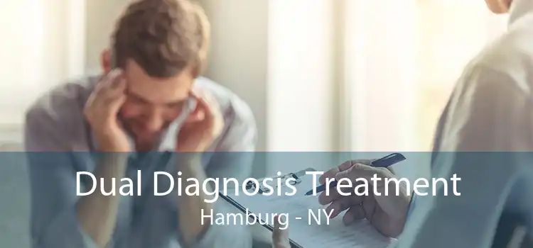 Dual Diagnosis Treatment Hamburg - NY