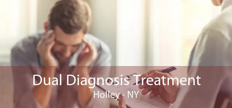 Dual Diagnosis Treatment Holley - NY