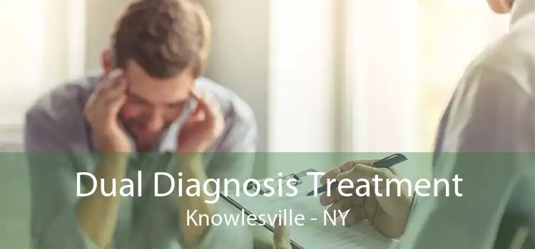 Dual Diagnosis Treatment Knowlesville - NY