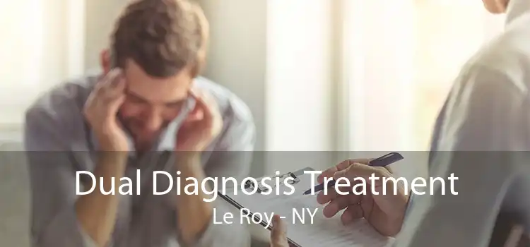 Dual Diagnosis Treatment Le Roy - NY