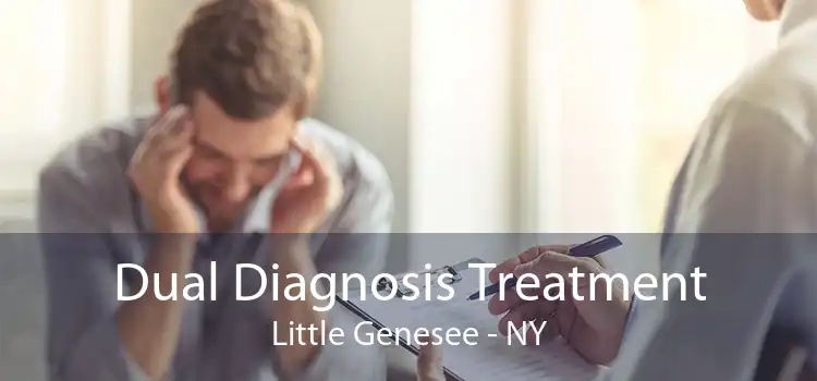 Dual Diagnosis Treatment Little Genesee - NY