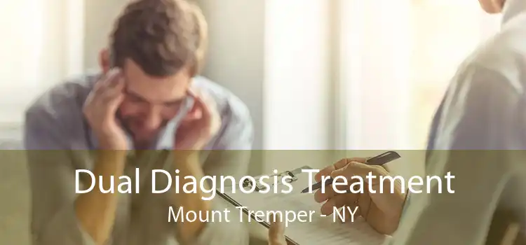 Dual Diagnosis Treatment Mount Tremper - NY