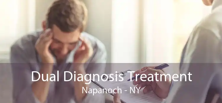 Dual Diagnosis Treatment Napanoch - NY