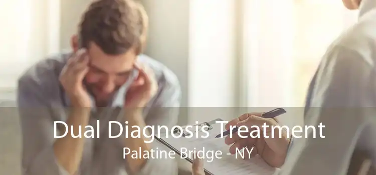Dual Diagnosis Treatment Palatine Bridge - NY