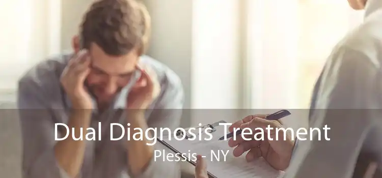 Dual Diagnosis Treatment Plessis - NY