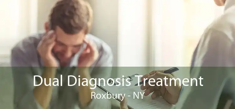 Dual Diagnosis Treatment Roxbury - NY