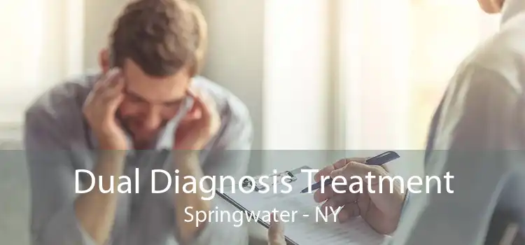 Dual Diagnosis Treatment Springwater - NY