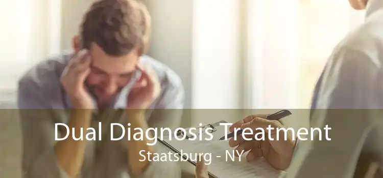 Dual Diagnosis Treatment Staatsburg - NY